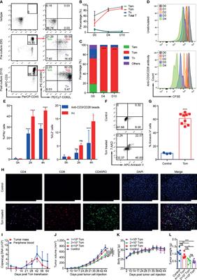 Efficacy and Safety of Central Memory T Cells Combined With Adjuvant Therapy to Prevent Recurrence of Hepatocellular Carcinoma With Microvascular Invasion: A Pilot Study